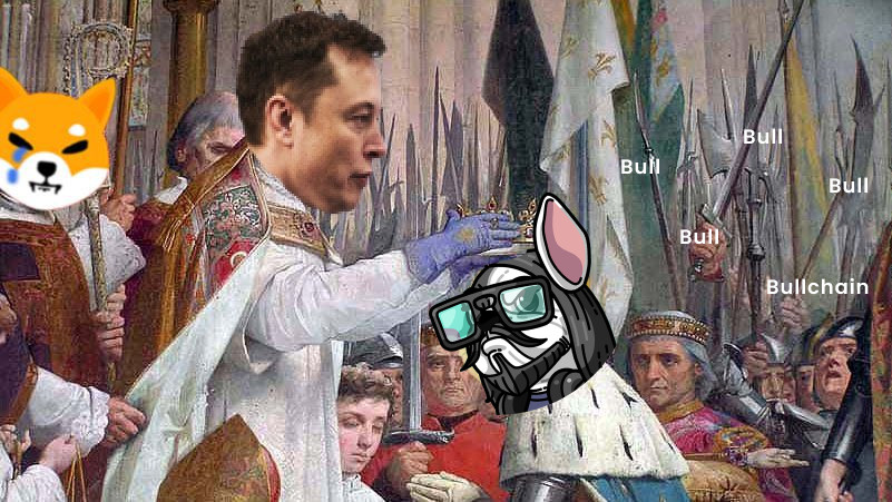 The era of BULL has come